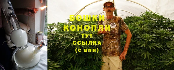 Альфа ПВП Пересвет