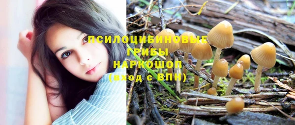 Альфа ПВП Алзамай