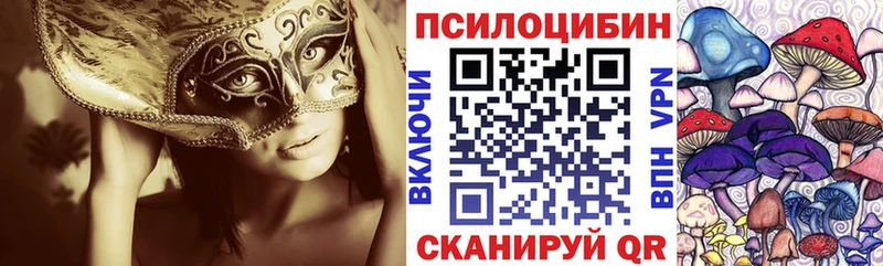 Галлюциногенные грибы Magic Shrooms  дарнет шоп  Чишмы 